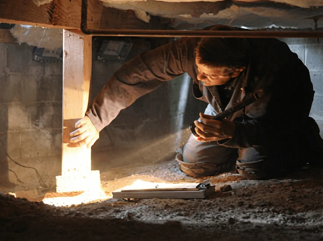 A professional inspecting wooden beams under the floor of a structure in Glendale, AZ
